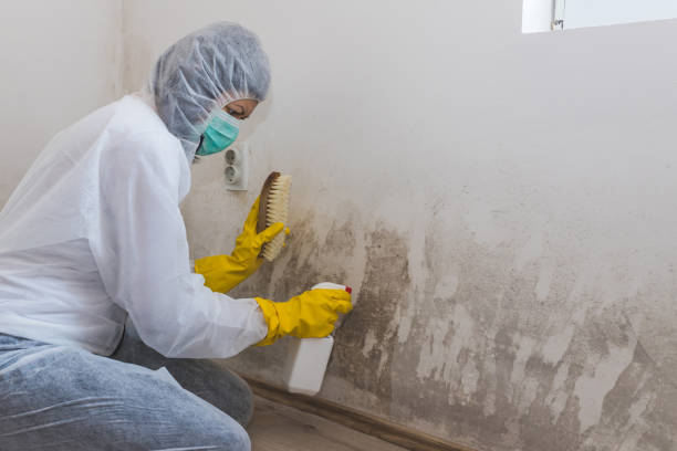 Sand Springs, OK Mold Removal Company