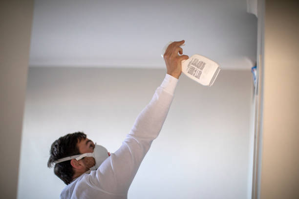 Best Office Mold Removal Services  in Sand Springs, OK