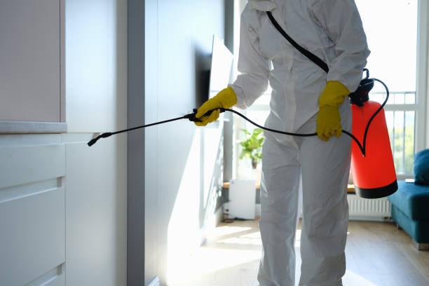 Best Professional Mold Removal  in Sand Springs, OK