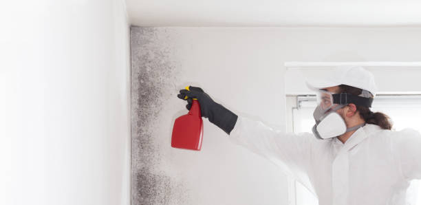 Best Residential Mold Removal  in Sand Springs, OK