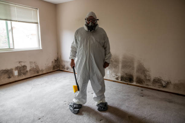 Best Home Mold Removal  in Sand Springs, OK