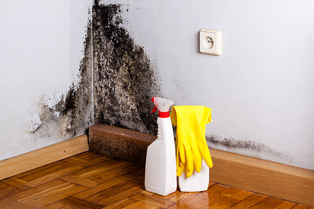 Best Certified Mold Removal  in Sand Springs, OK