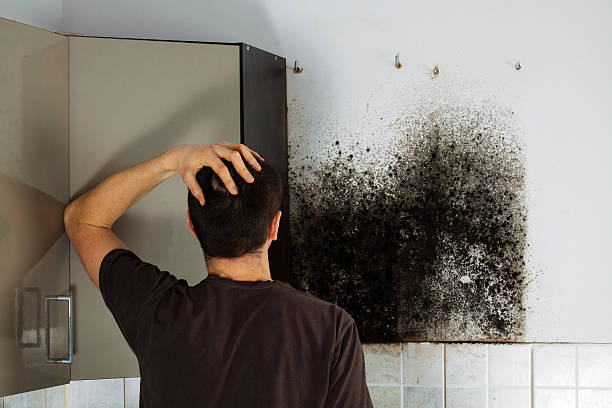 Best Home Mold Removal  in Sand Springs, OK